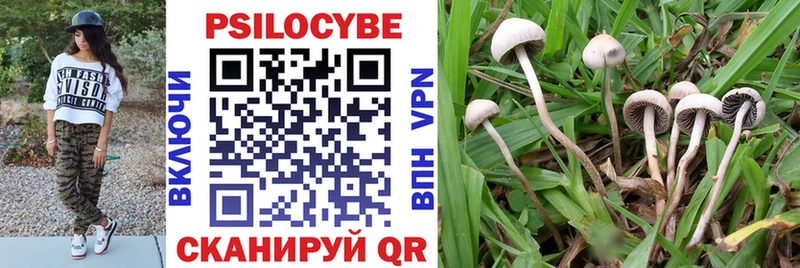 Псилоцибиновые грибы прущие грибы  Рыбинск 