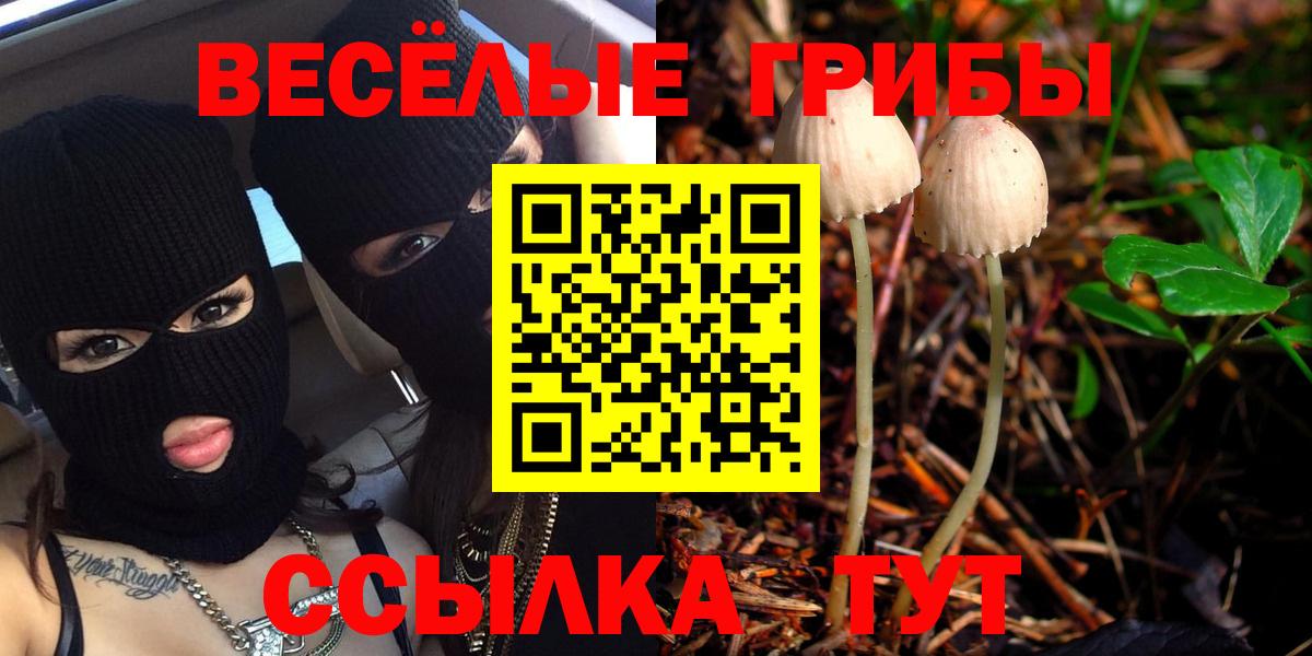 Галлюциногенные грибы Psilocybe  Рыбинск  Галлюциногенные грибы MAGIC MUSHROOMS 