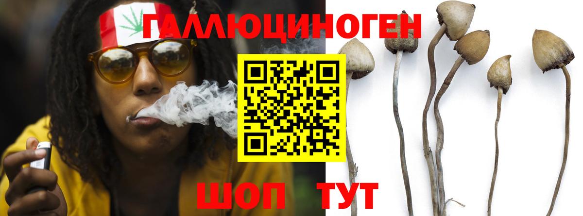 Кодеин  Вход с VPN  Бошки Шишки  МЕФ  Плюхи  Кокаин  СОЛЬ CK  Рыбинск  MDMA 